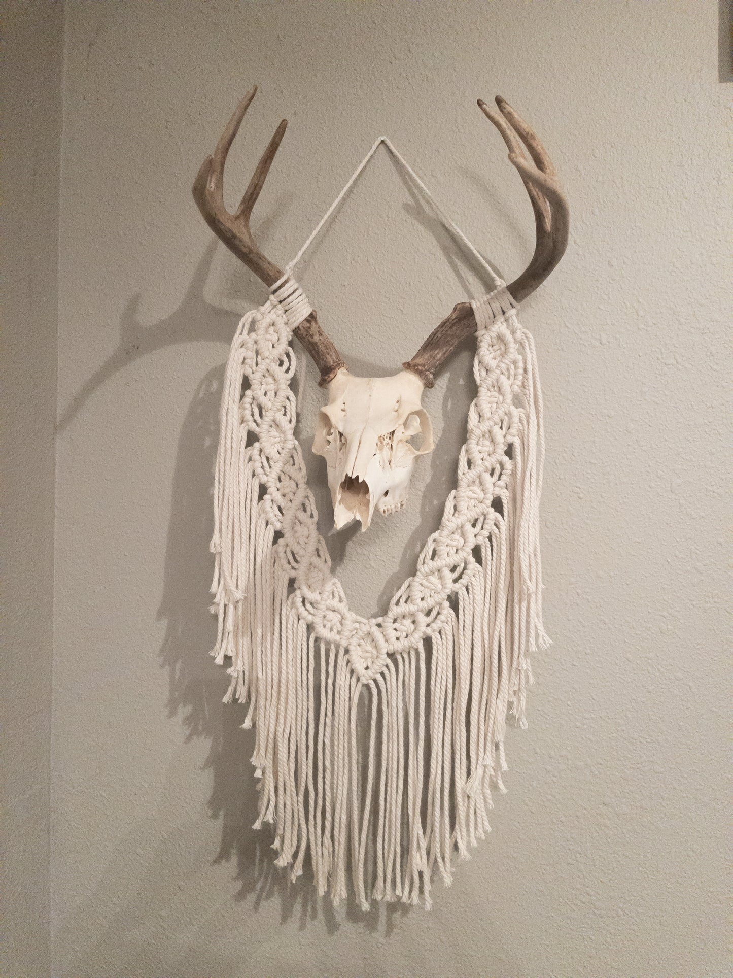 Buck Skull macrame