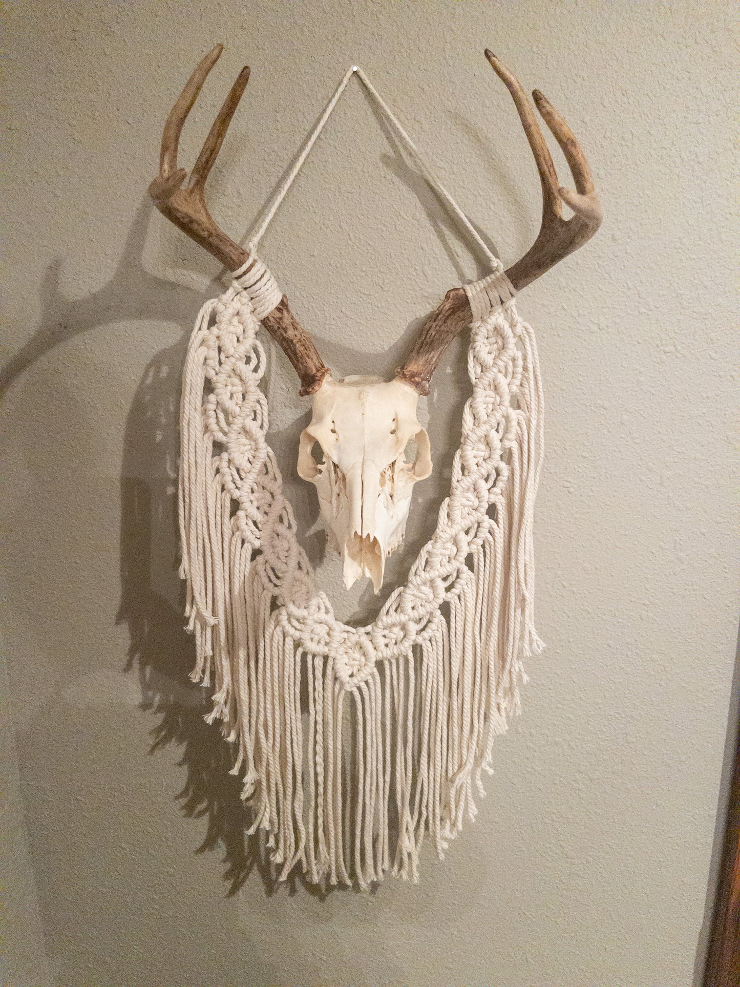 Buck Skull macrame