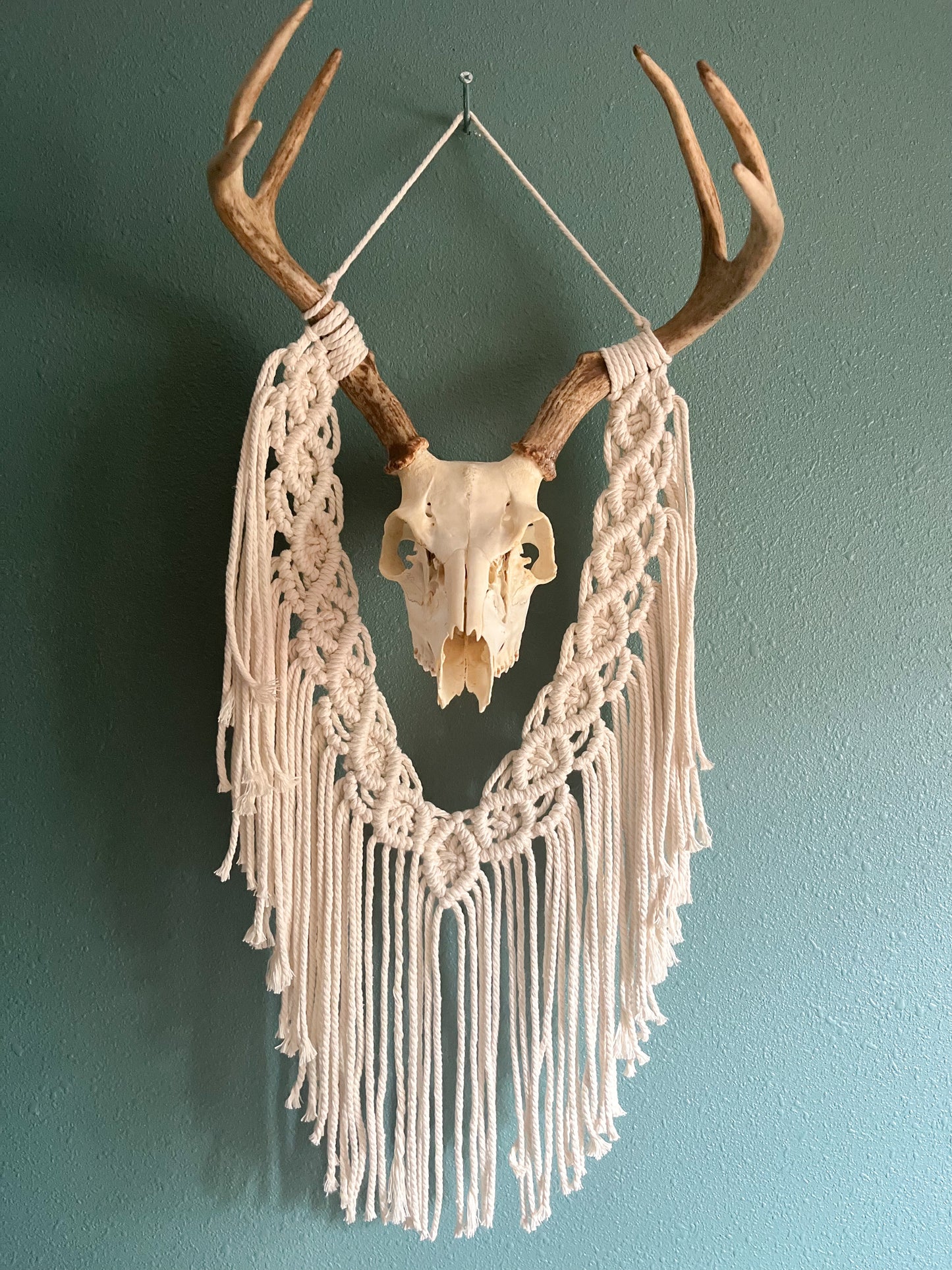 Buck Skull macrame