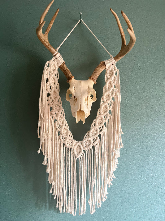 Buck Skull macrame