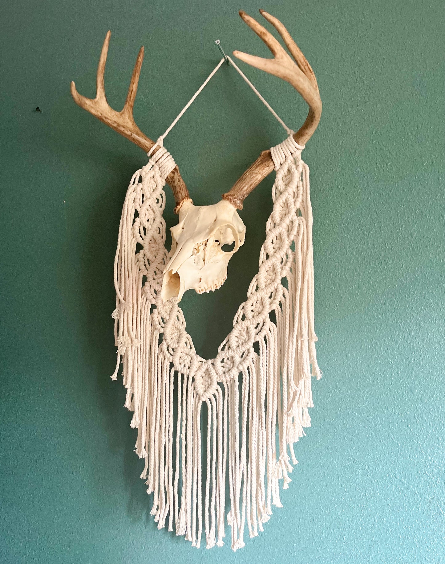 Buck Skull macrame